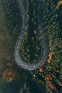 Preview wallpaper road, forest, aerial view, winding, turn