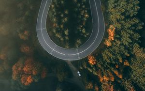 Preview wallpaper road, forest, aerial view, winding, turn