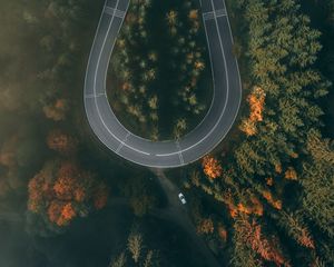 Preview wallpaper road, forest, aerial view, winding, turn