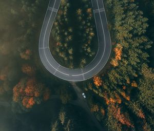 Preview wallpaper road, forest, aerial view, winding, turn