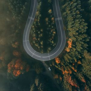 Preview wallpaper road, forest, aerial view, winding, turn