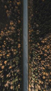 Preview wallpaper road, forest, aerial view, trees, treetops