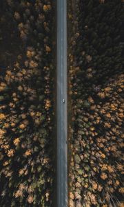 Preview wallpaper road, forest, aerial view, trees, treetops