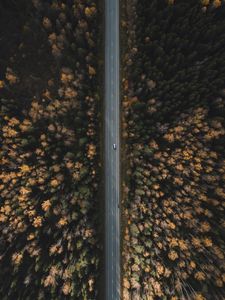 Preview wallpaper road, forest, aerial view, trees, treetops