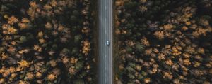 Preview wallpaper road, forest, aerial view, trees, treetops