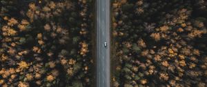 Preview wallpaper road, forest, aerial view, trees, treetops