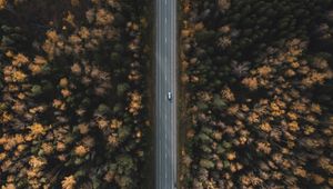 Preview wallpaper road, forest, aerial view, trees, treetops