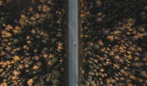 Preview wallpaper road, forest, aerial view, trees, treetops