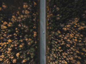 Preview wallpaper road, forest, aerial view, trees, treetops