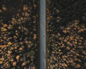 Preview wallpaper road, forest, aerial view, trees, treetops