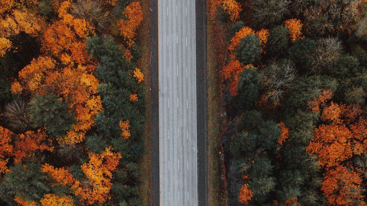 Wallpaper road, forest, aerial view, highway, trees, autumn