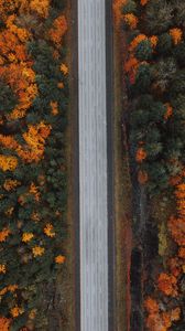 Preview wallpaper road, forest, aerial view, highway, trees, autumn