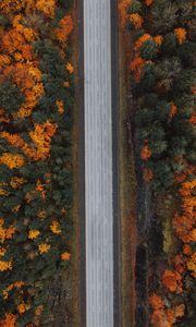 Preview wallpaper road, forest, aerial view, highway, trees, autumn