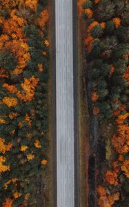 Preview wallpaper road, forest, aerial view, highway, trees, autumn