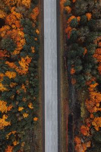 Preview wallpaper road, forest, aerial view, highway, trees, autumn