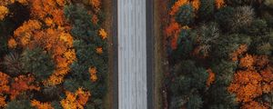 Preview wallpaper road, forest, aerial view, highway, trees, autumn