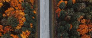 Preview wallpaper road, forest, aerial view, highway, trees, autumn