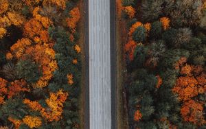 Preview wallpaper road, forest, aerial view, highway, trees, autumn