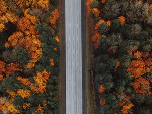 Preview wallpaper road, forest, aerial view, highway, trees, autumn