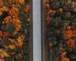 Preview wallpaper road, forest, aerial view, highway, trees, autumn