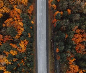 Preview wallpaper road, forest, aerial view, highway, trees, autumn