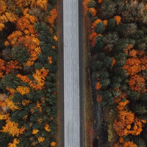 Preview wallpaper road, forest, aerial view, highway, trees, autumn