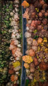 Preview wallpaper road, forest, aerial view, trees, treetops