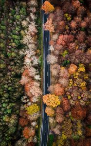 Preview wallpaper road, forest, aerial view, trees, treetops