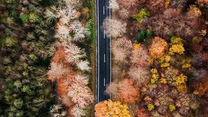 Preview wallpaper road, forest, aerial view, trees, treetops