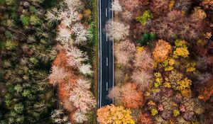 Preview wallpaper road, forest, aerial view, trees, treetops