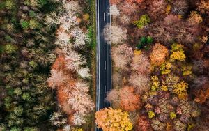 Preview wallpaper road, forest, aerial view, trees, treetops