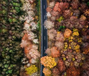 Preview wallpaper road, forest, aerial view, trees, treetops