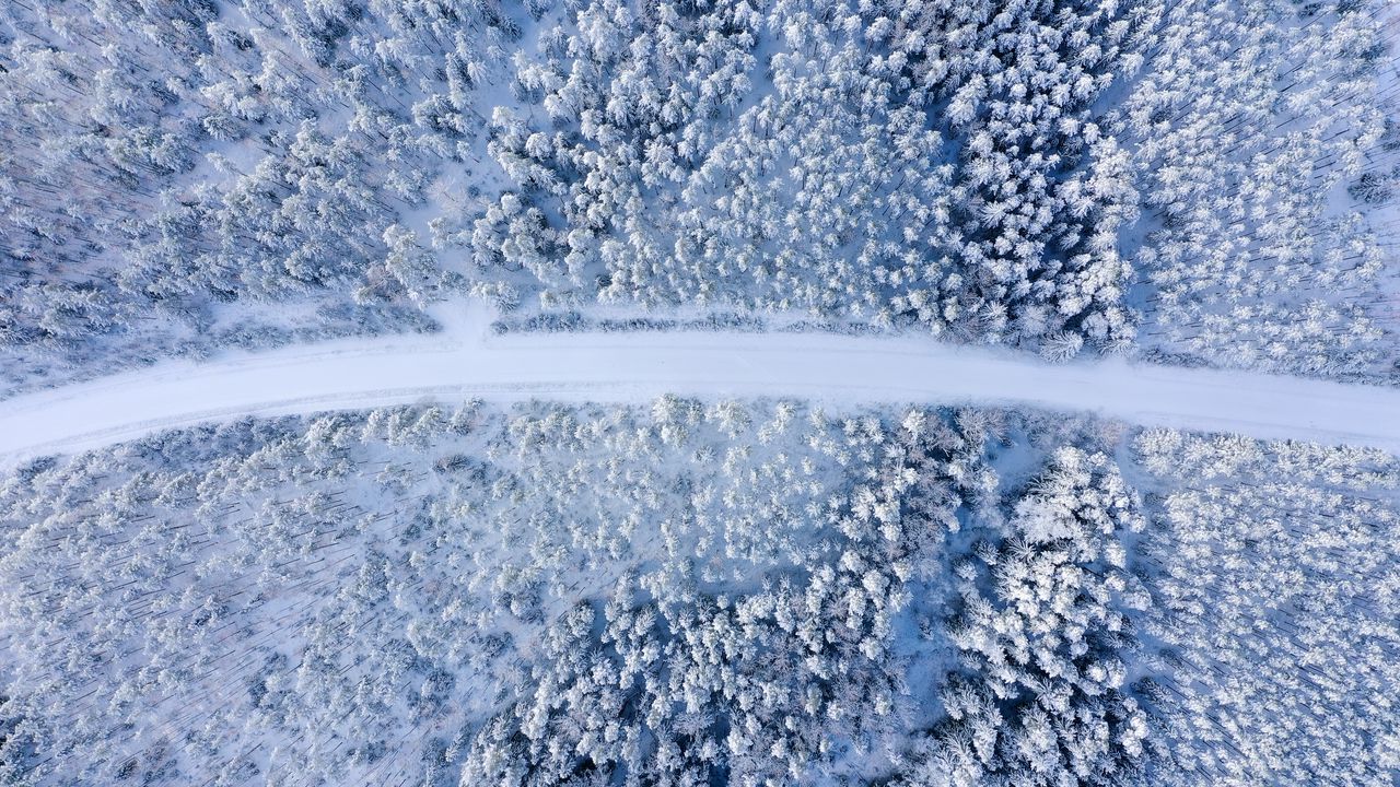 Wallpaper road, forest, aerial view, snow, winter