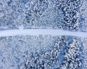 Preview wallpaper road, forest, aerial view, snow, winter