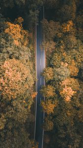 Preview wallpaper road, forest, aerial view, markup, trees