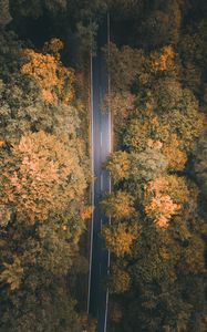 Preview wallpaper road, forest, aerial view, markup, trees