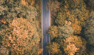 Preview wallpaper road, forest, aerial view, markup, trees