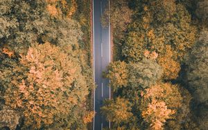 Preview wallpaper road, forest, aerial view, markup, trees