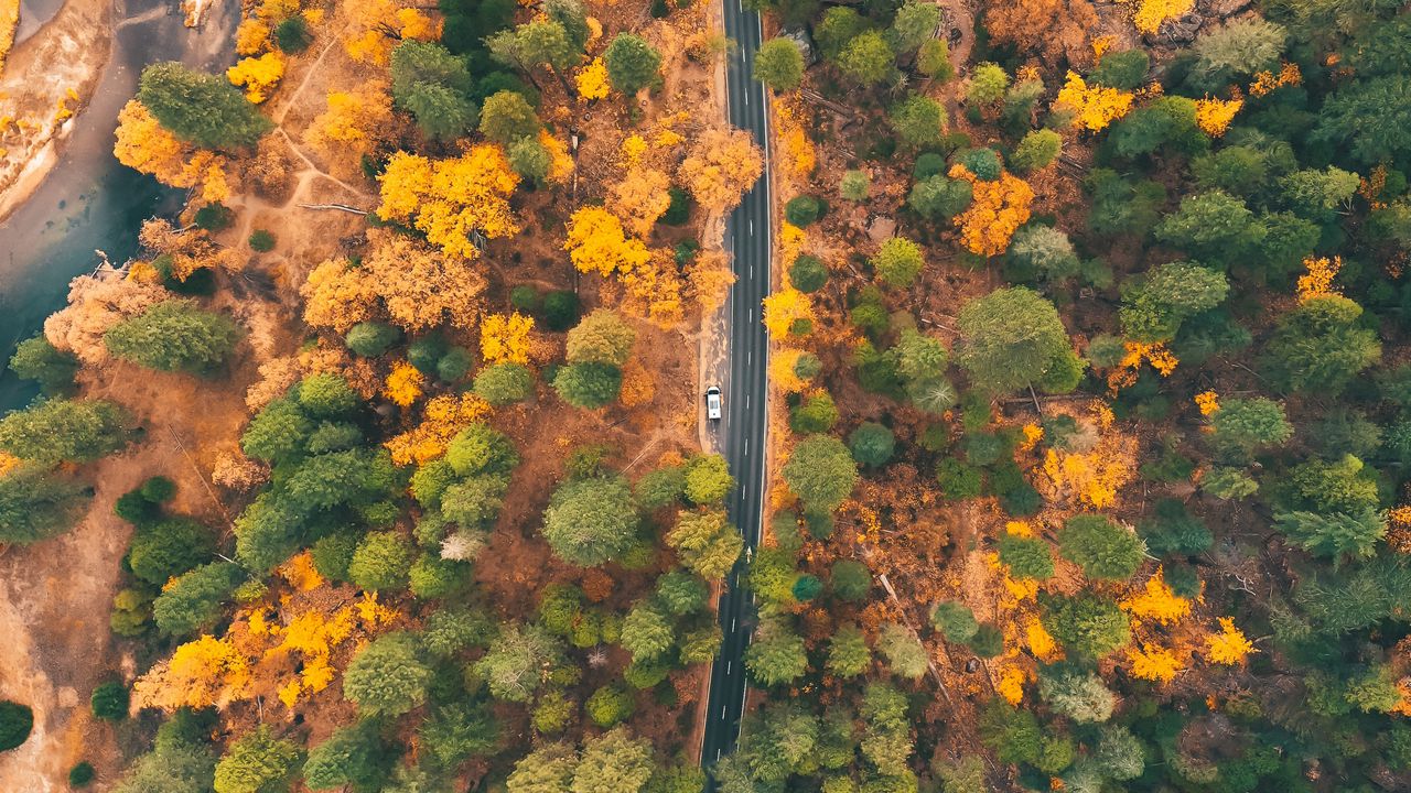 Wallpaper road, forest, aerial view, trees, car, autumn