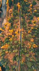 Preview wallpaper road, forest, aerial view, trees, car, autumn