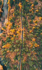 Preview wallpaper road, forest, aerial view, trees, car, autumn