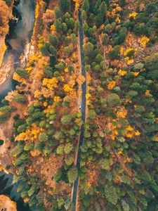 Preview wallpaper road, forest, aerial view, trees, car, autumn