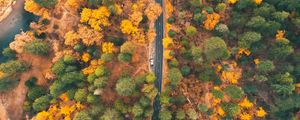 Preview wallpaper road, forest, aerial view, trees, car, autumn