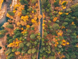 Preview wallpaper road, forest, aerial view, trees, car, autumn