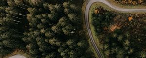 Preview wallpaper road, forest, aerial view, trees, turn