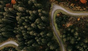 Preview wallpaper road, forest, aerial view, trees, turn