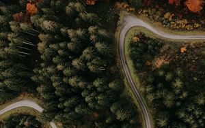 Preview wallpaper road, forest, aerial view, trees, turn