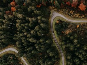 Preview wallpaper road, forest, aerial view, trees, turn