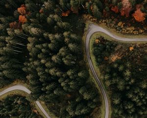 Preview wallpaper road, forest, aerial view, trees, turn