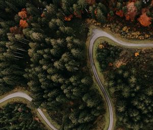 Preview wallpaper road, forest, aerial view, trees, turn